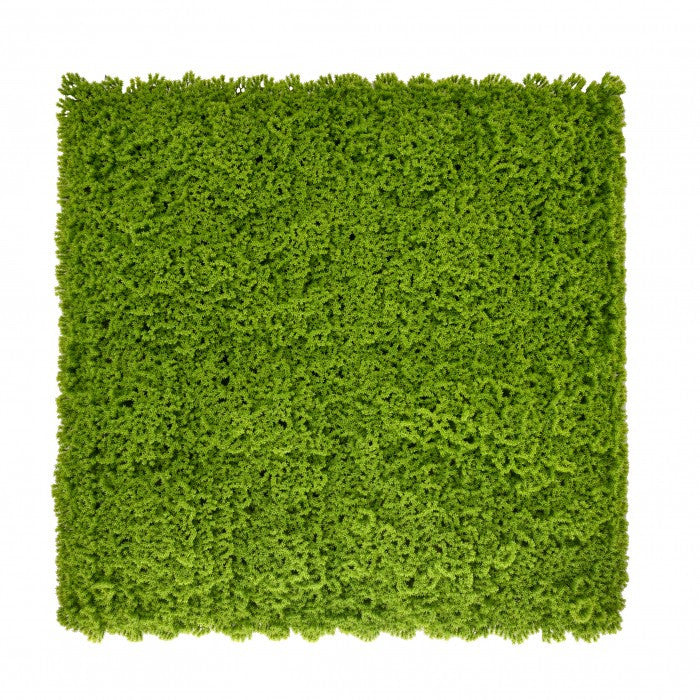 Műnövény falpanel, 50 × 50 cm-es moha zöldfal - Homelux, 5905610253776 Glavna slika proizvoda