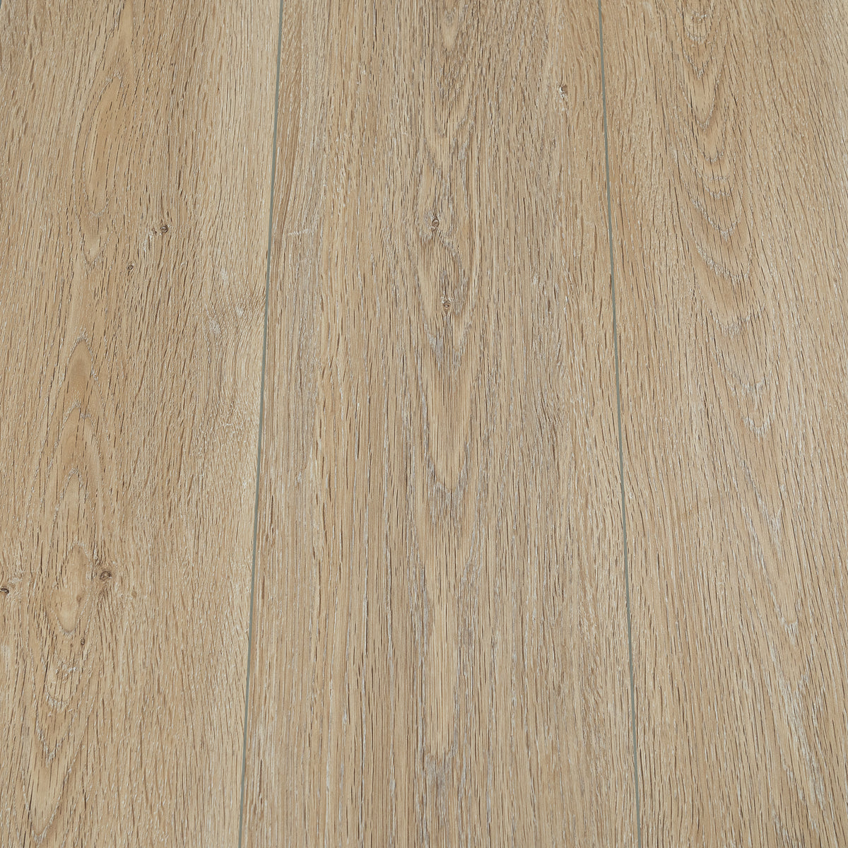 LPSPC-4-5-KEN-F_altpic_8.jpg